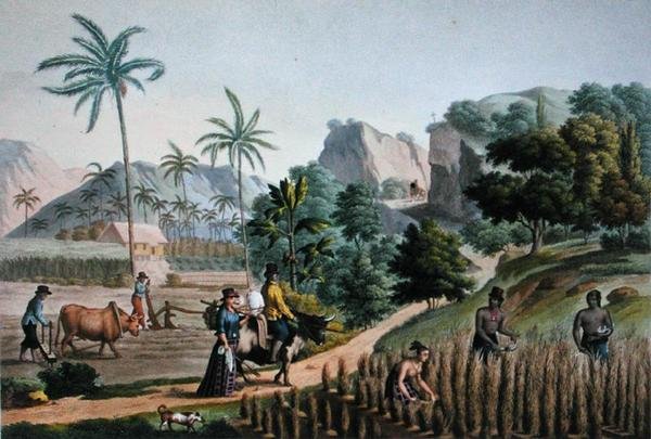 Guam Adası: Pomel tarafından oyulmuş 