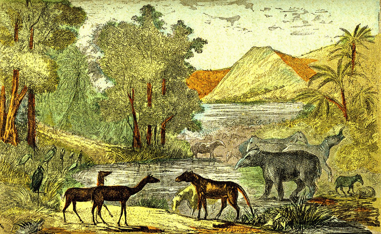 Tarih Öncesi-Eosen dönemi: Sağdan sola: Paloeotherium, Anoplotherium, Xiphodonts ve Tantalus kuşları. Doğal yaratılış ve canlılar. A. Demarle'ın çizimi. 1885 by Alphonse Demarle