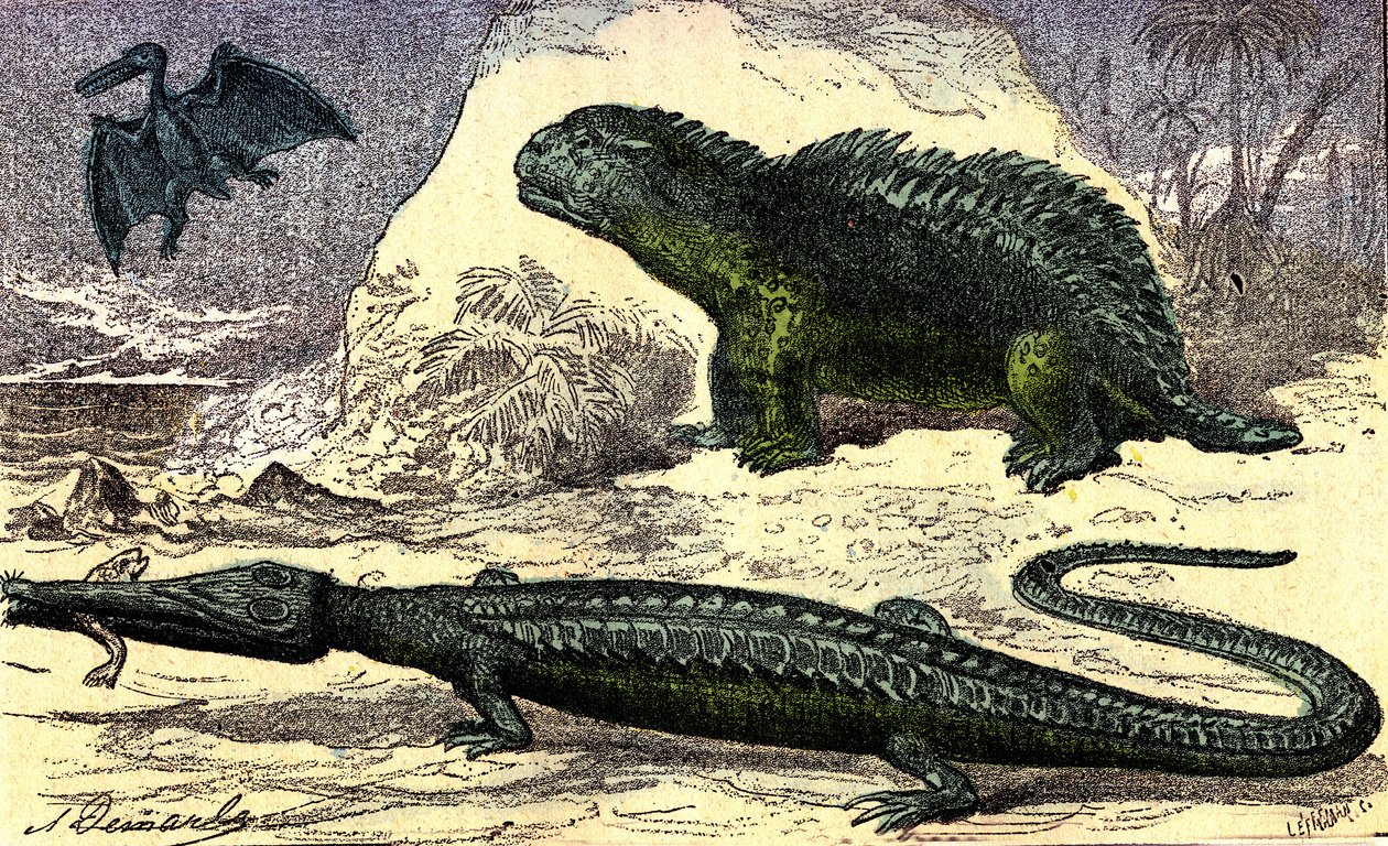 Tarih Öncesi - Jura Dönemi: Teleosaur ve Hyleosaur. Üst kattaki Pterodactyl. Doğal Yaratılış ve Canlılar. A. Demarle'ın çizimi. 1885 by Alphonse Demarle