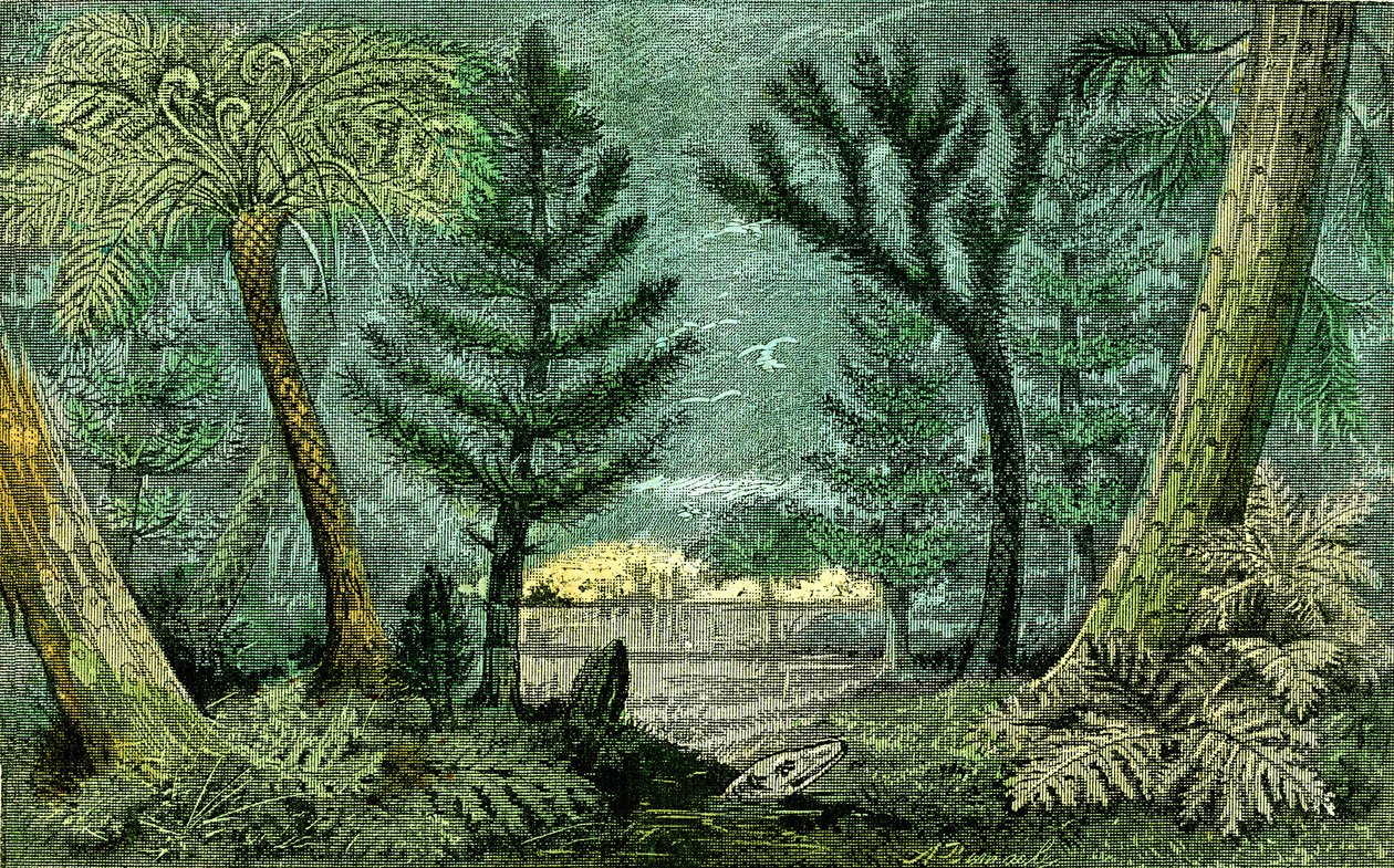 Tarih öncesi, kömür dönemi: Kömür döneminin Marecage ve sondajı (J. Rrengade) by Alphonse Demarle