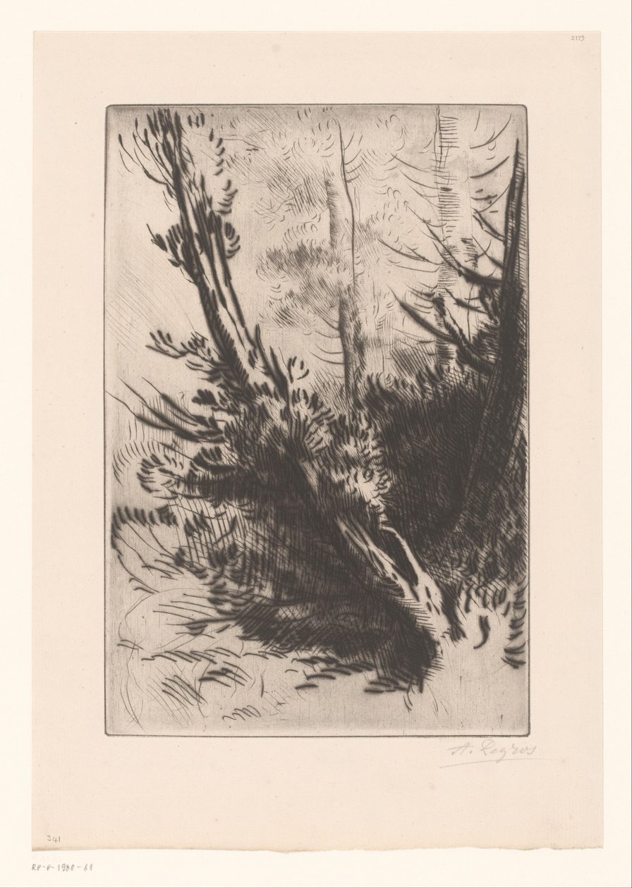 ağaçlar by Alphonse Legros (signed by artist)
