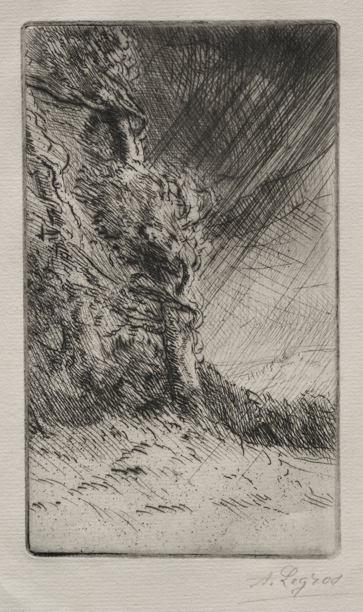 Bir Rüzgar Rüzgarı. by Alphonse Legros