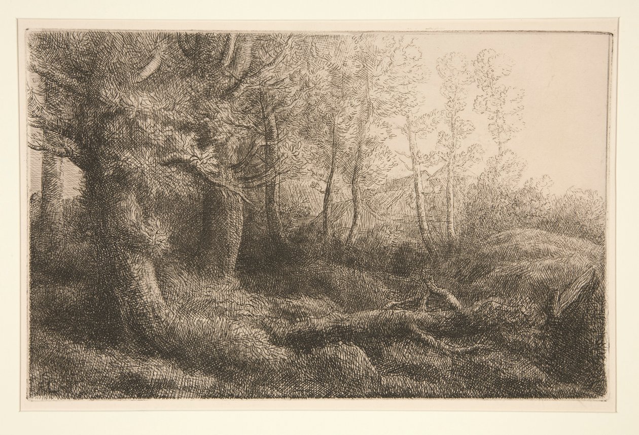 Woodland Çalışması by Alphonse Legros