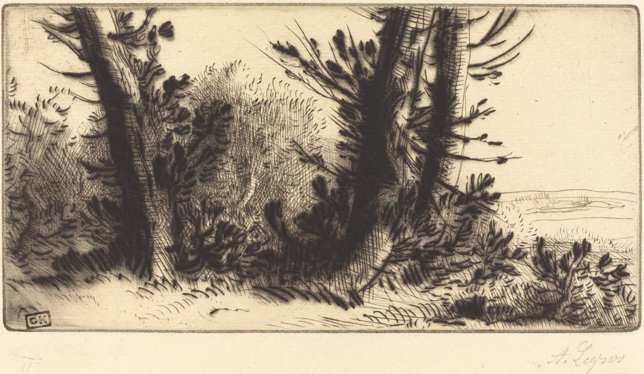 Karşı Ülke A çapraz geçiş şampiyonu. by Alphonse Legros