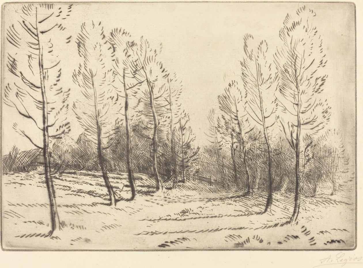 Kavak Bulvarı by Alphonse Legros