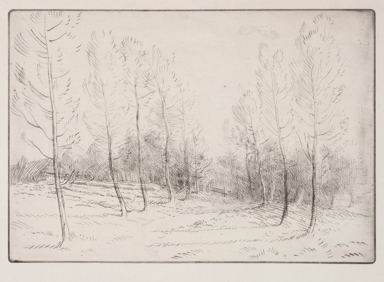 Kavak Bulvarı by Alphonse Legros