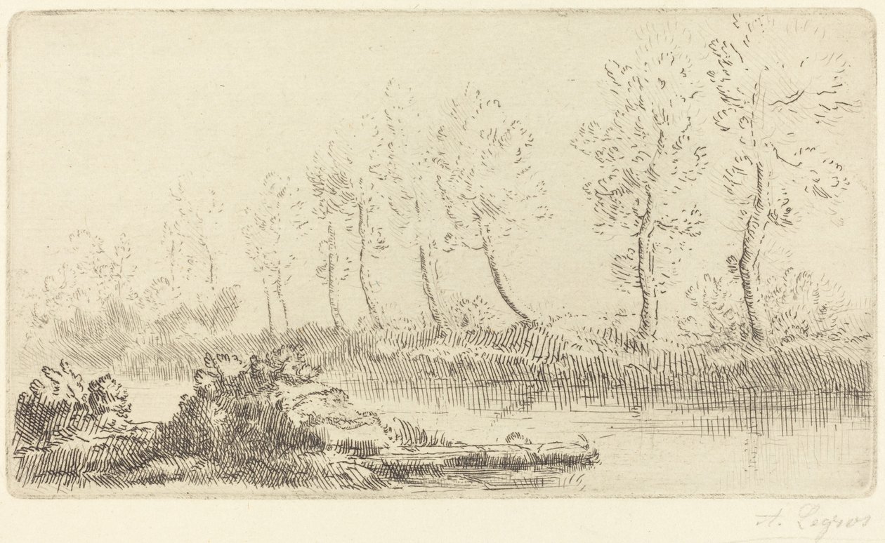 Adour Kıyıları (Bord de l