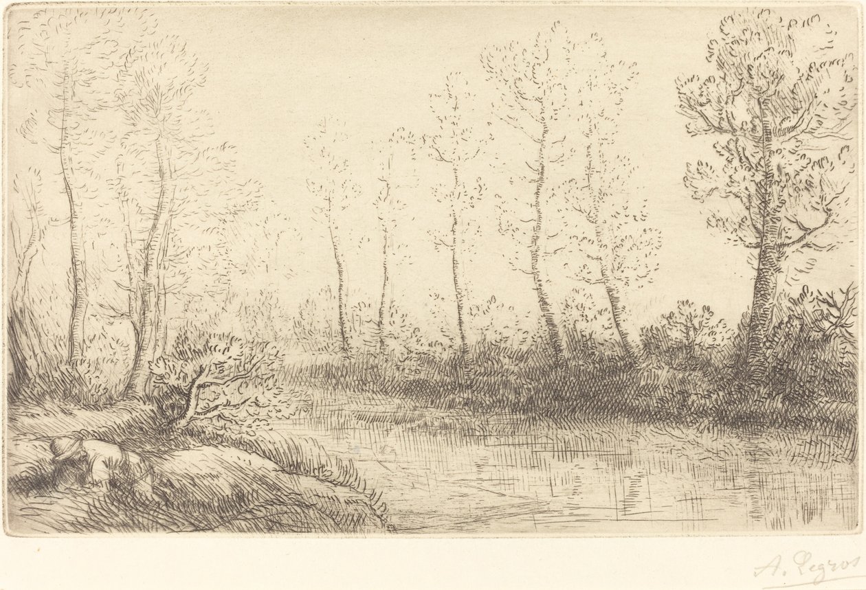 Huş Ağaçları: Sabah Işığında Görülen Su Kenarı by Alphonse Legros