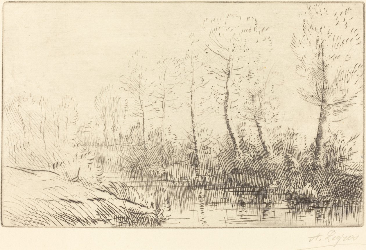 Huş Ağaçları: Sabah Işığında Görülen Su Kenarı by Alphonse Legros