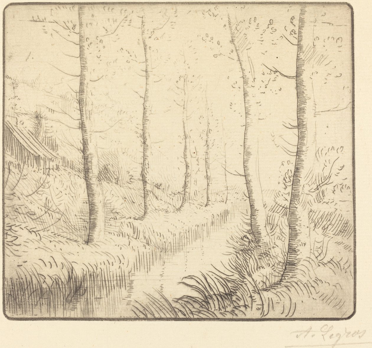 Su Boyunca Huş Ağaçları by Alphonse Legros
