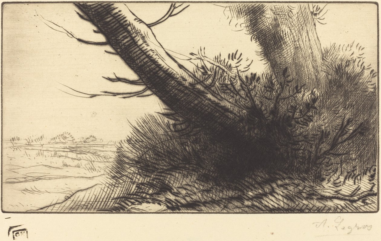 Bir Yolun Köşesi Bir yolun köşesinde. by Alphonse Legros