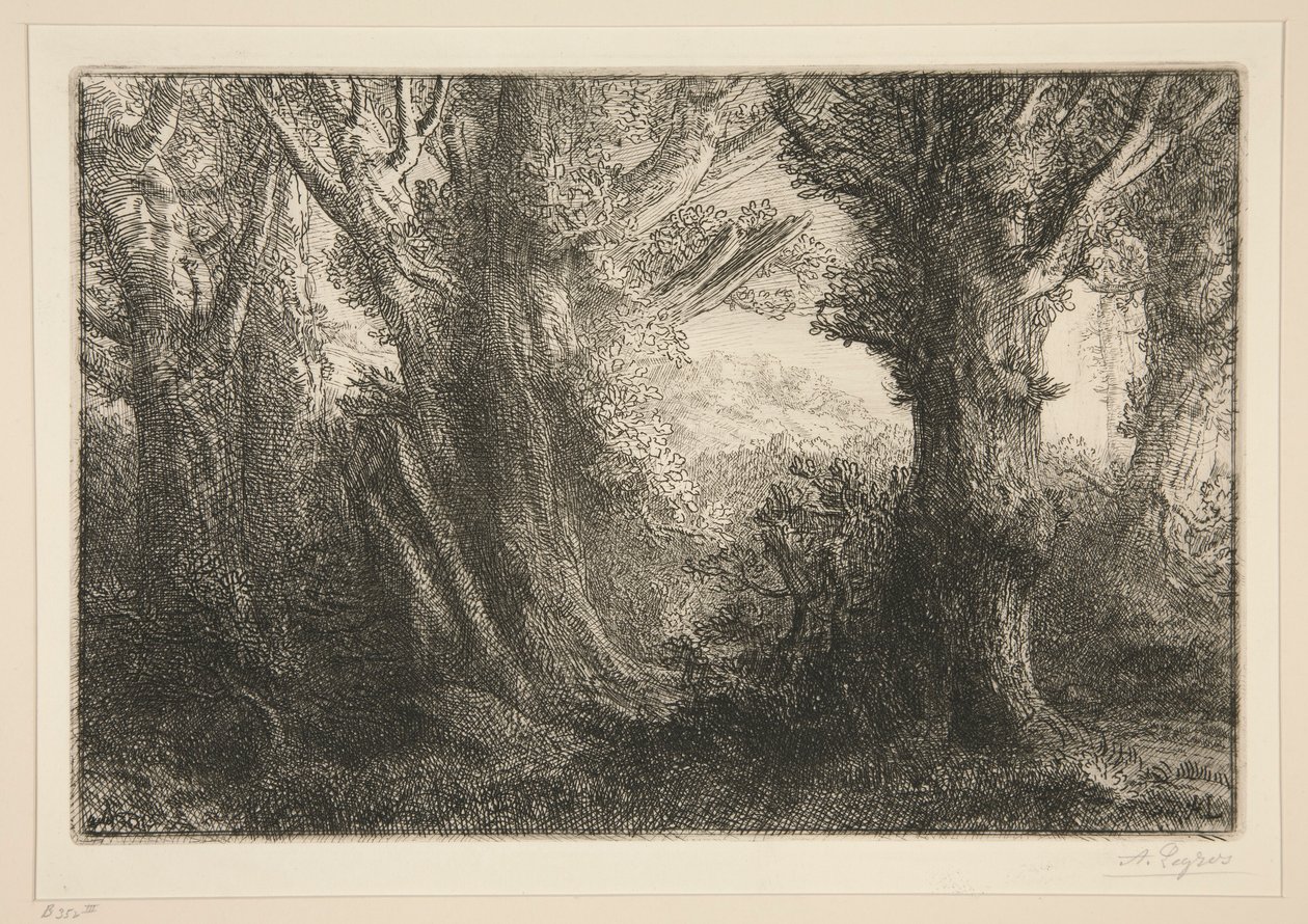 Dans la foret de Conteville (Conteville Ormanında0 by Alphonse Legros