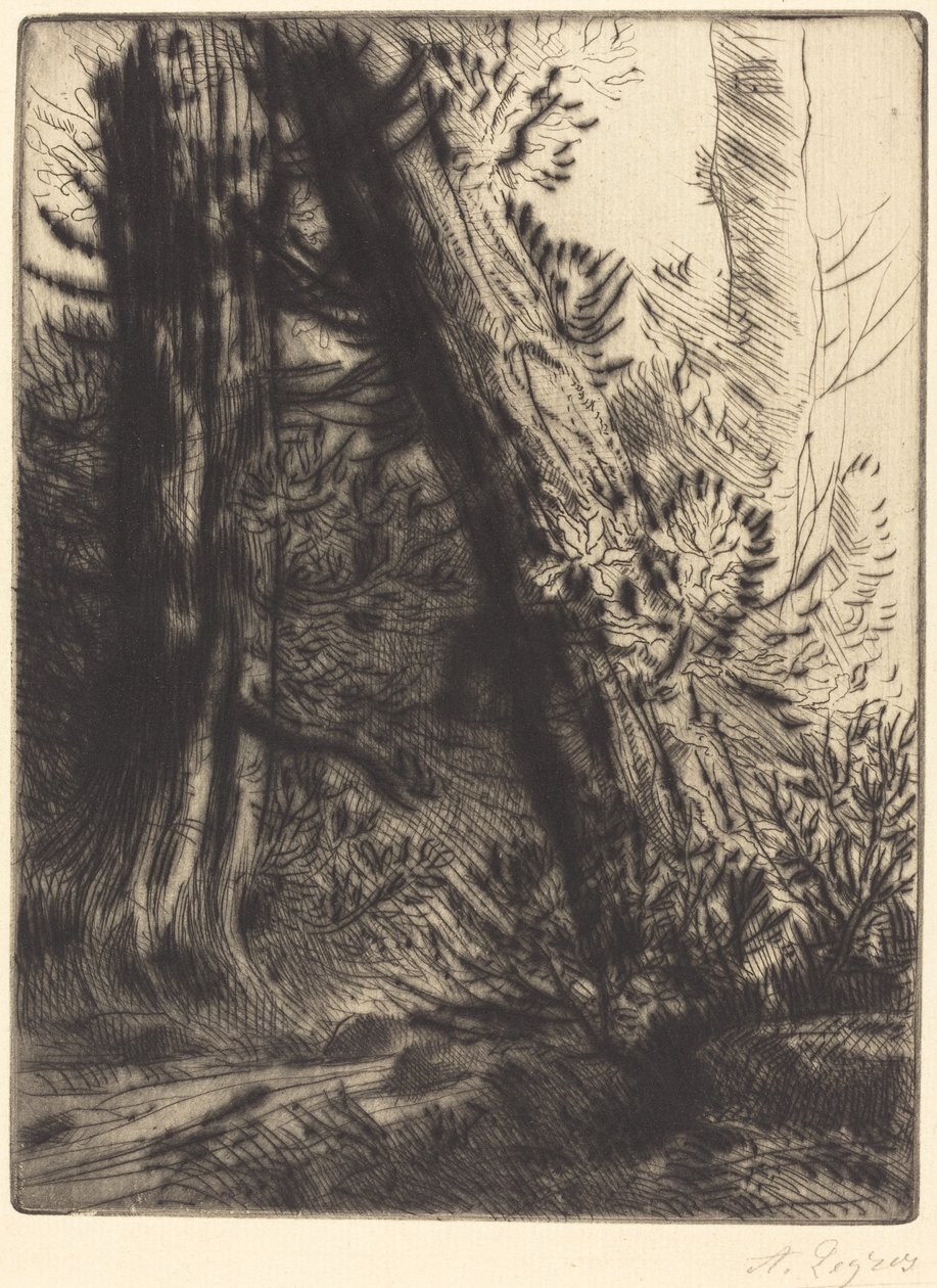 Bir Çayın Kenarı (Bord de ruisseau) by Alphonse Legros