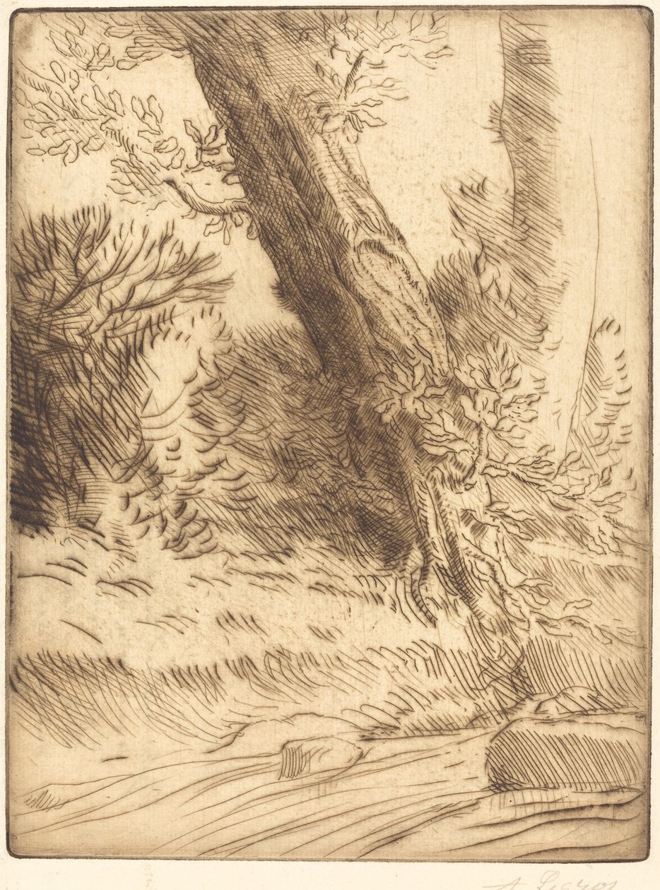 Bir Çayın Kenarı (Bord de ruisseau) by Alphonse Legros