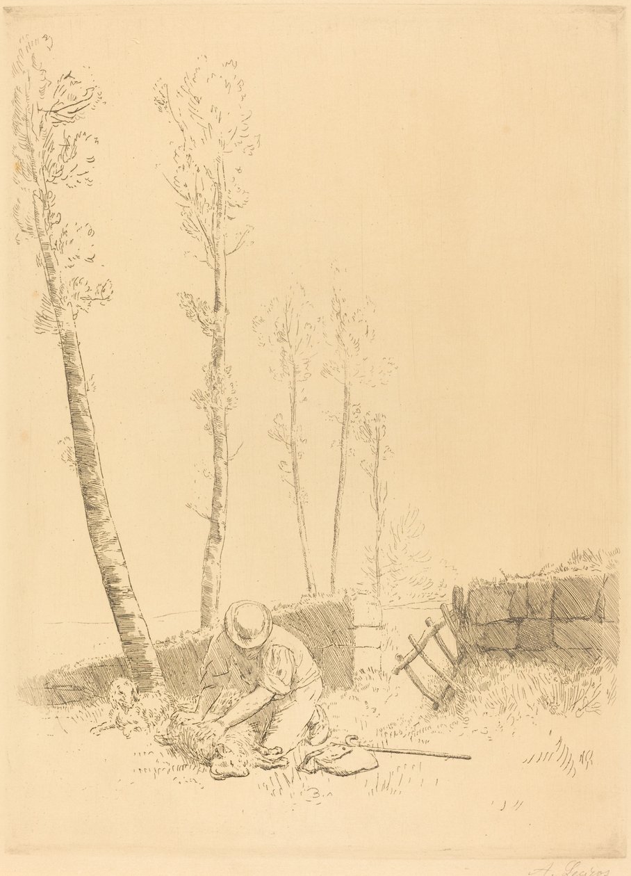 Koyun Bulma Koyun bulur. by Alphonse Legros