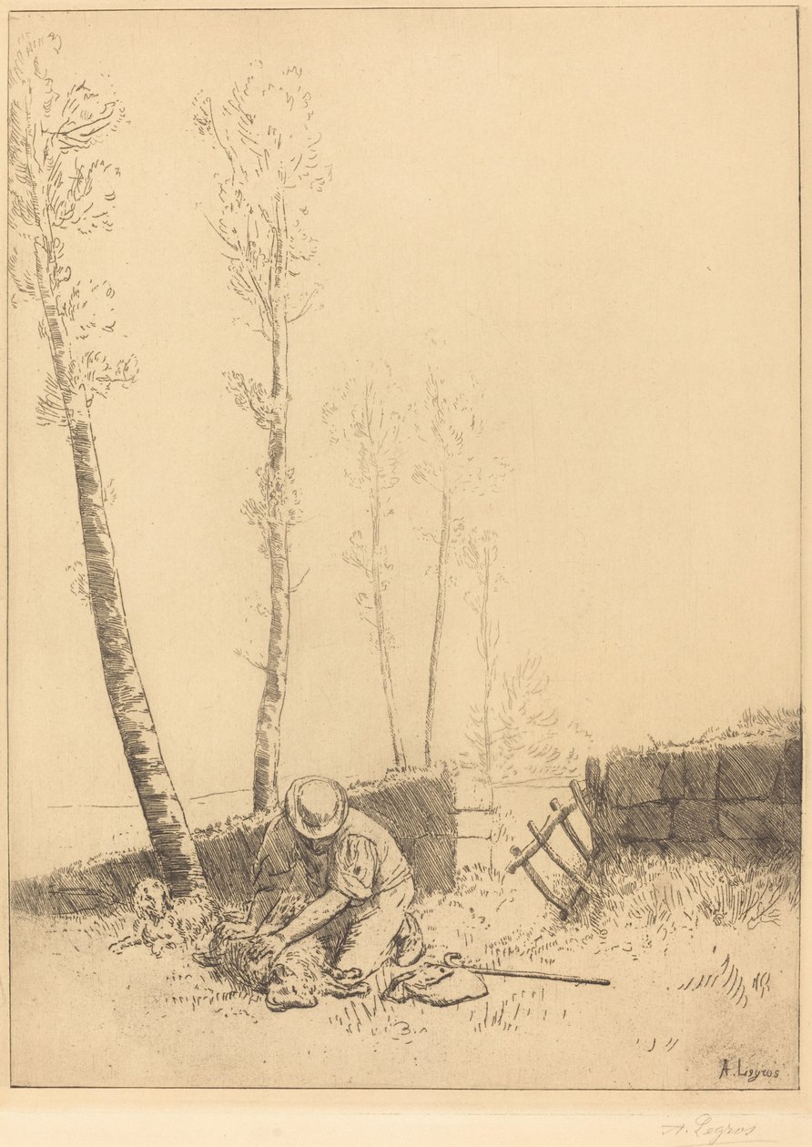 Koyun Bulma Koyun bulur. by Alphonse Legros