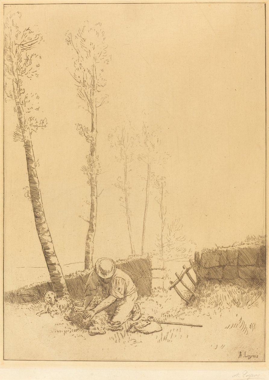 Koyun Bulma Koyun bulur. by Alphonse Legros