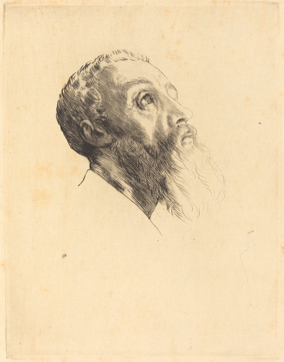 Model Başkanı by Alphonse Legros