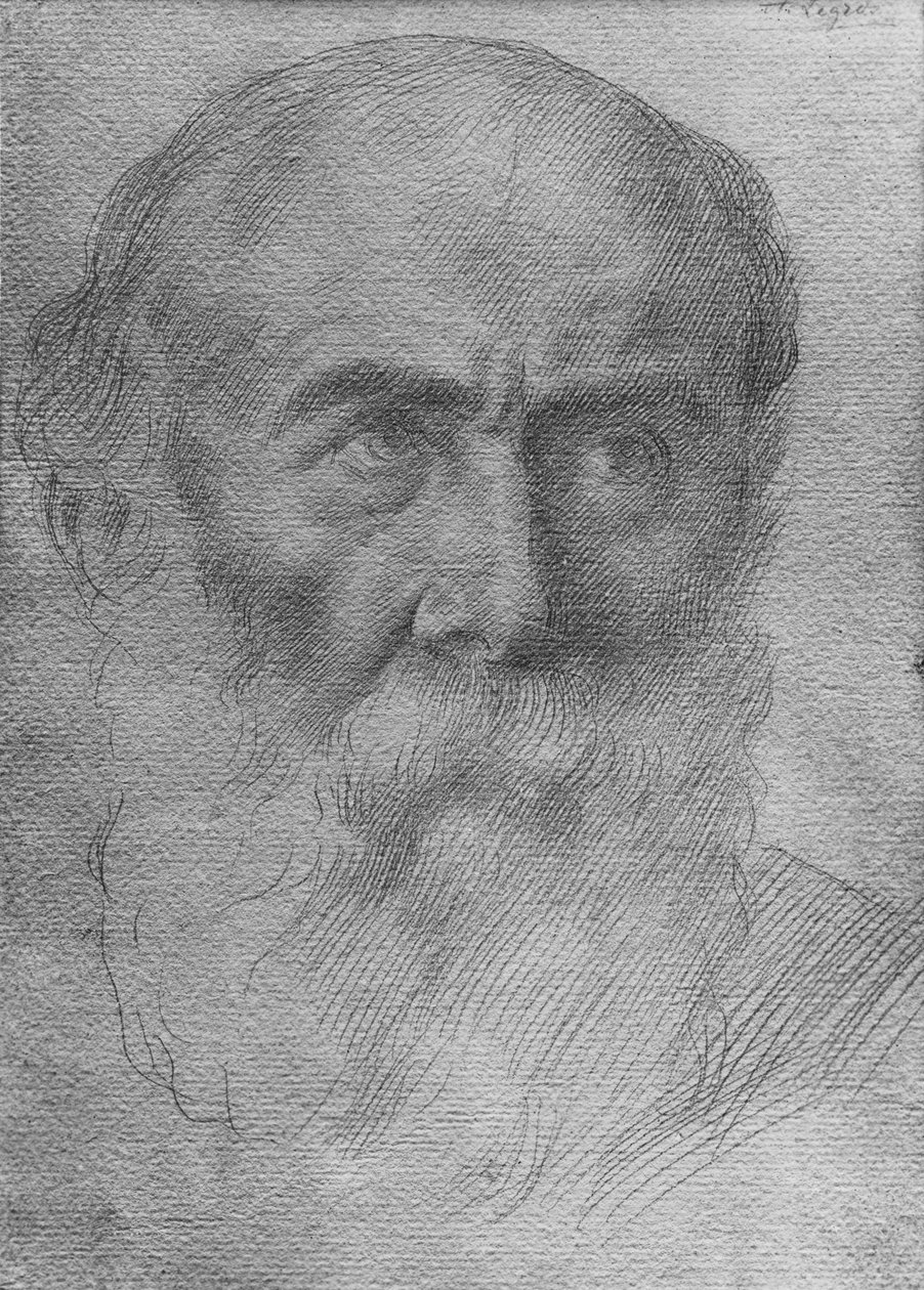 Bir adamın başı (kağıt üzerinde altın nokta) by Alphonse Legros