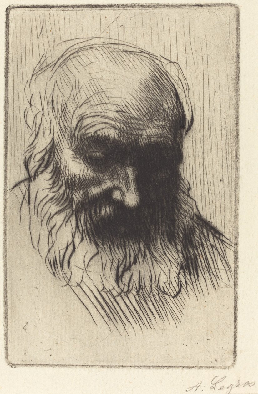 Yaşlı Bir Adamın Başı (Etude de tete) by Alphonse Legros