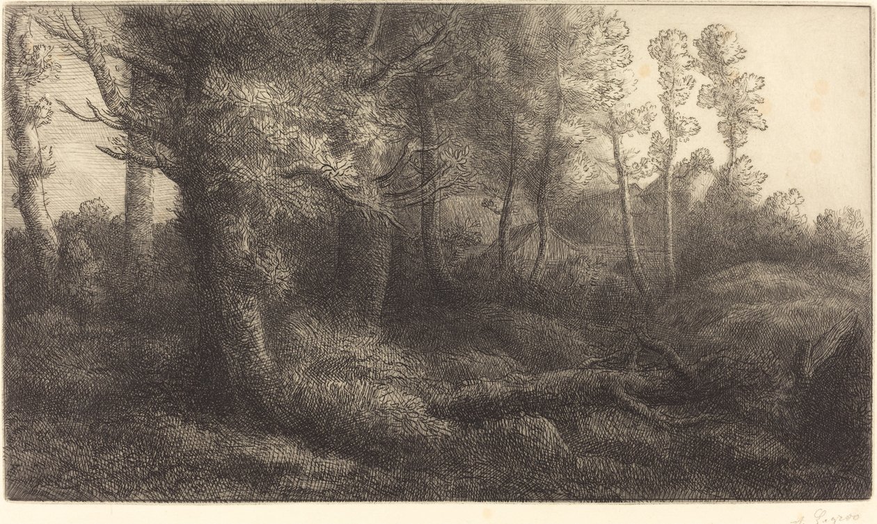 Ormanda (Lisiere de foret) by Alphonse Legros