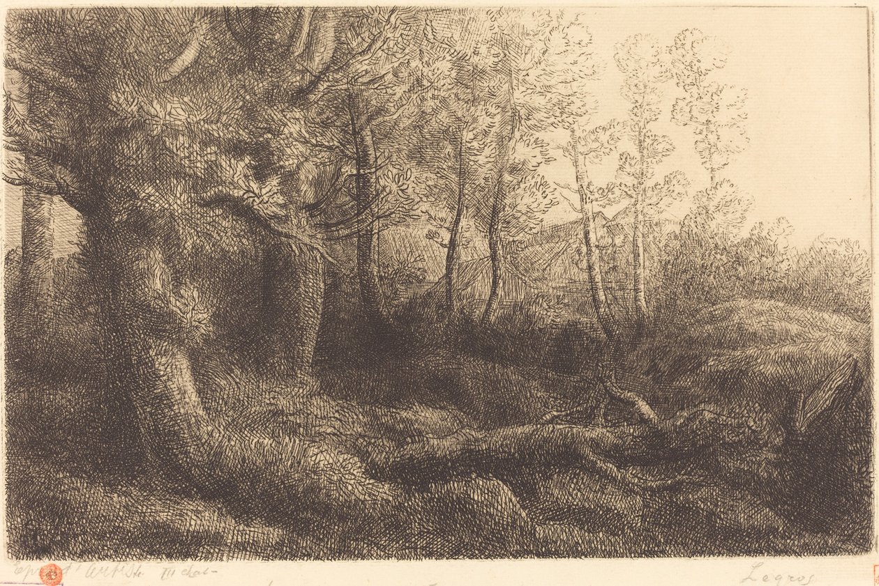 Orman Lisiere de foret