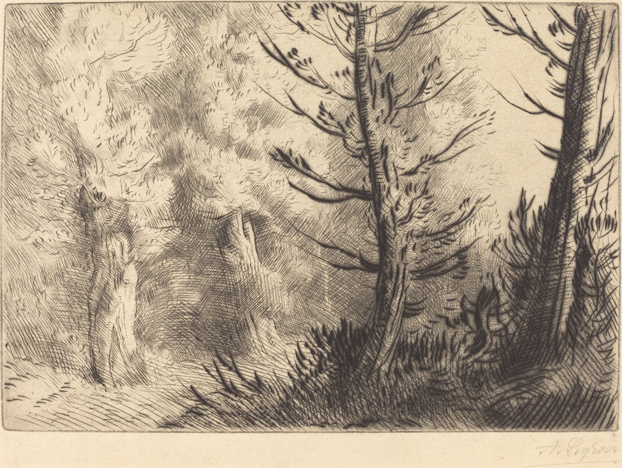 Fontainebleau Ormanında, Fontainebleau Ormanında. by Alphonse Legros