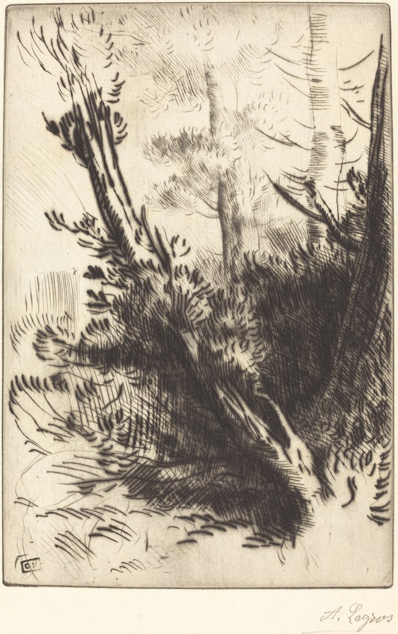Ormanda by Alphonse Legros