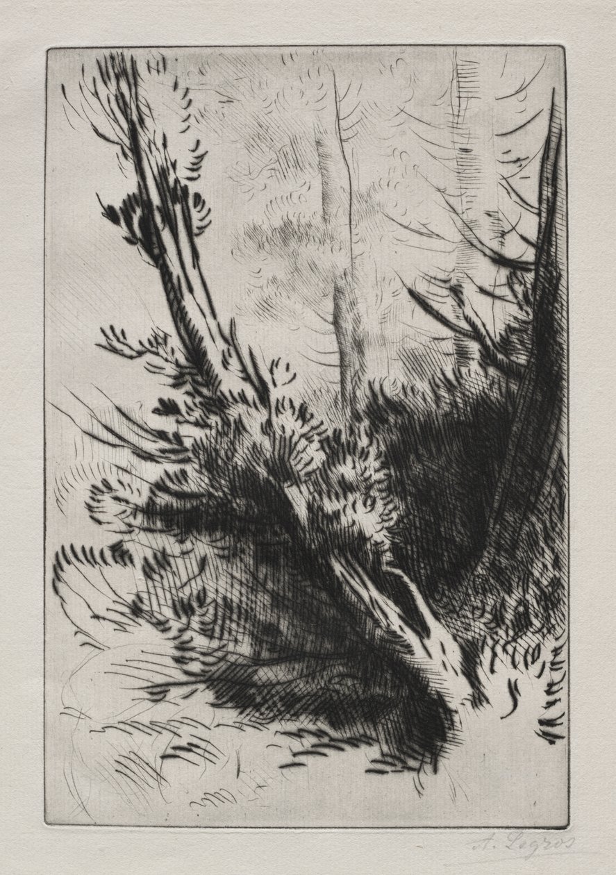 Ormanda by Alphonse Legros