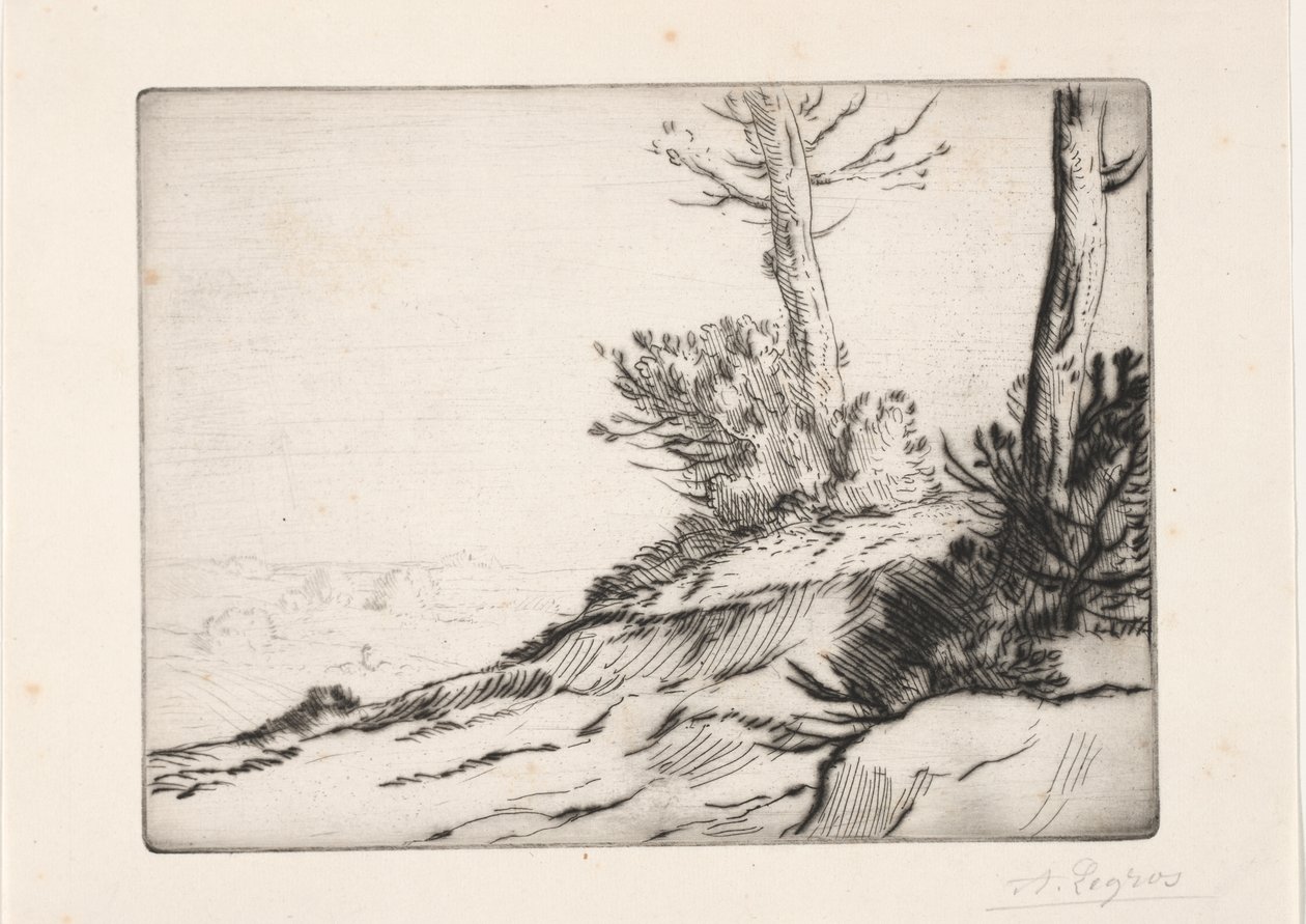 fırça höyüğü by Alphonse Legros
