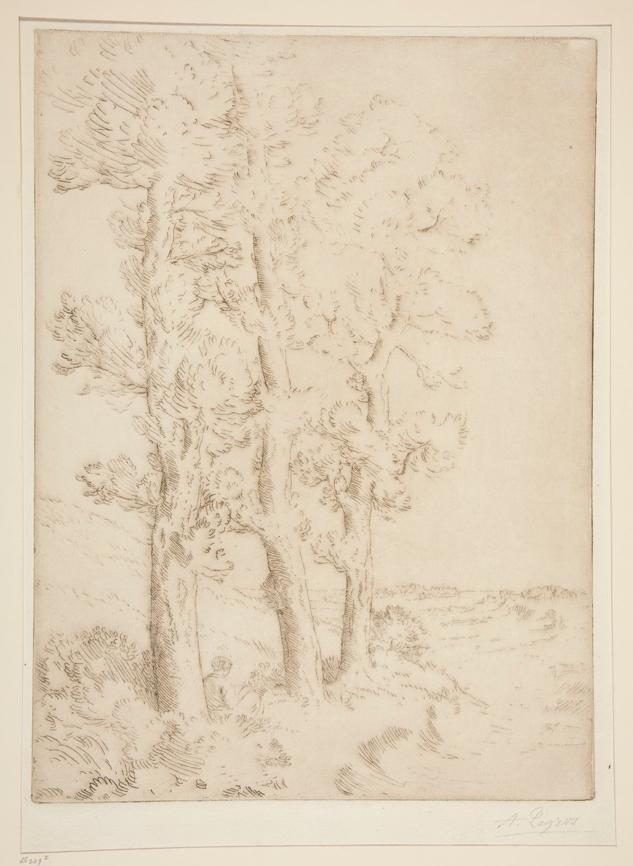 Kadın Okuma: Ağaçların Altında Ders by Alphonse Legros