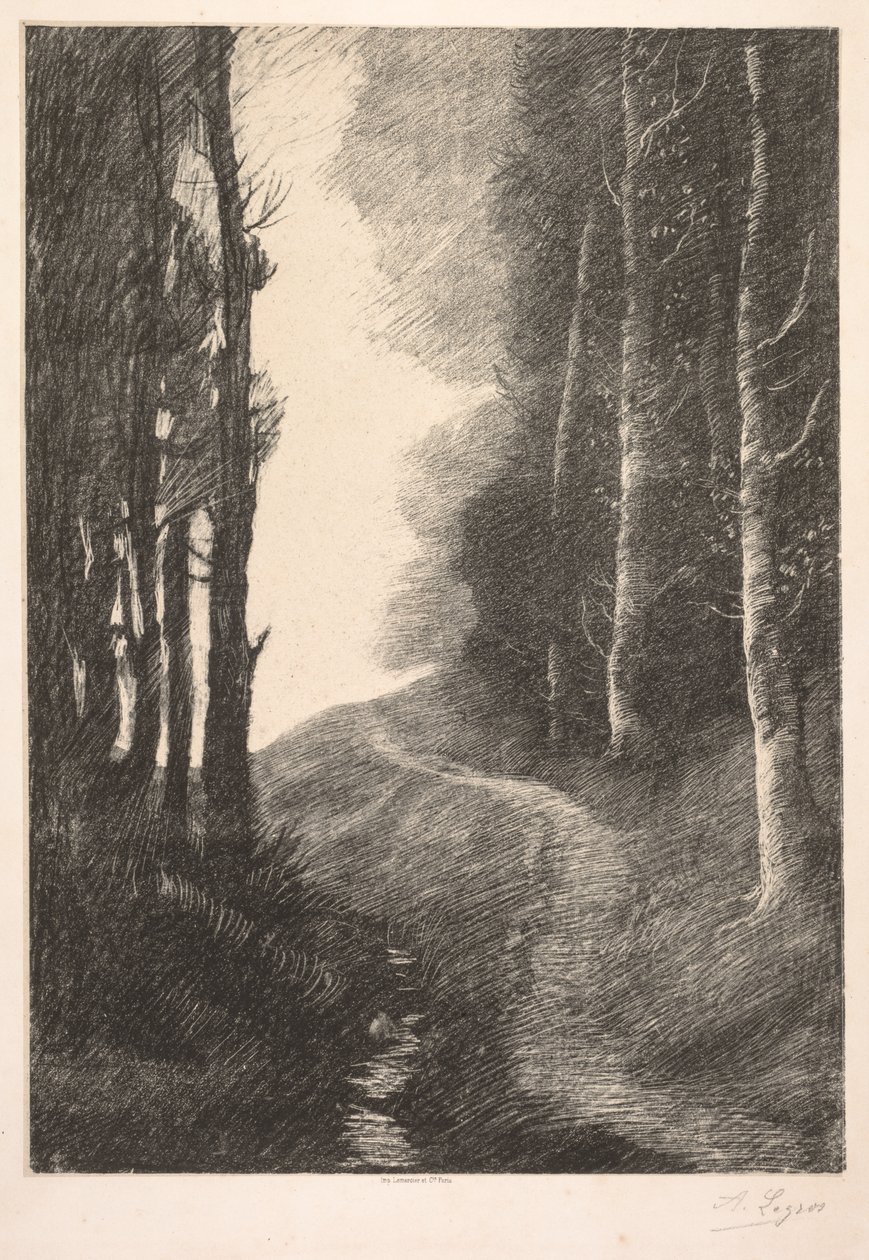 Birches Peyzaj by Alphonse Legros