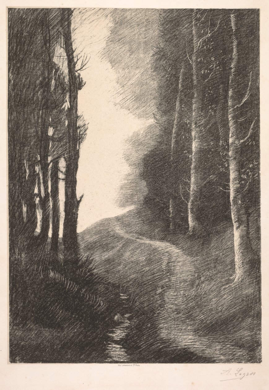 Bouleaux