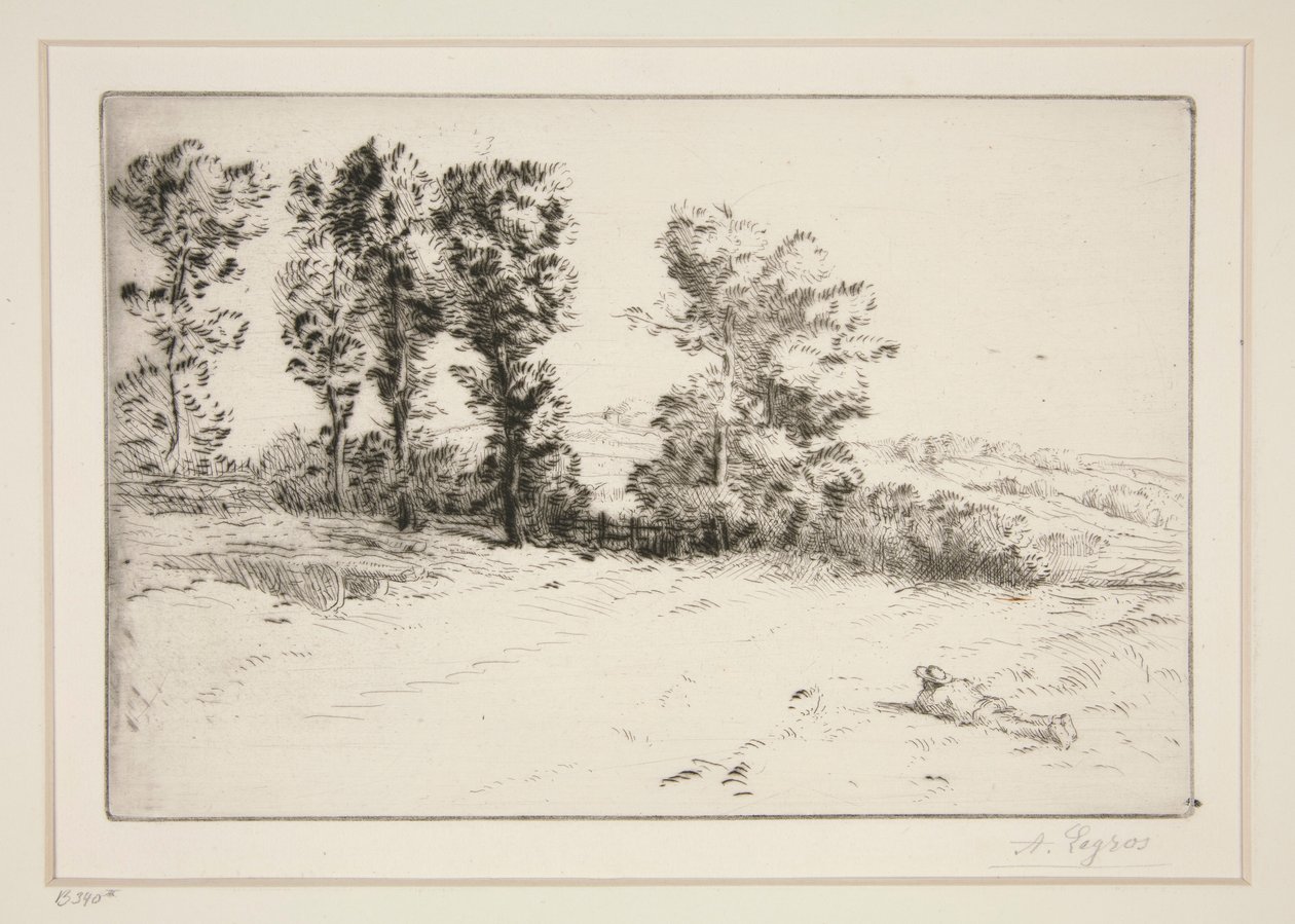 Le pre ensoleille (Güneş Işığında Çayır) by Alphonse Legros