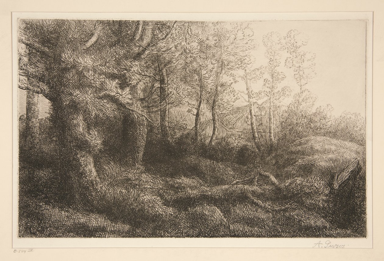 orman kenarı by Alphonse Legros