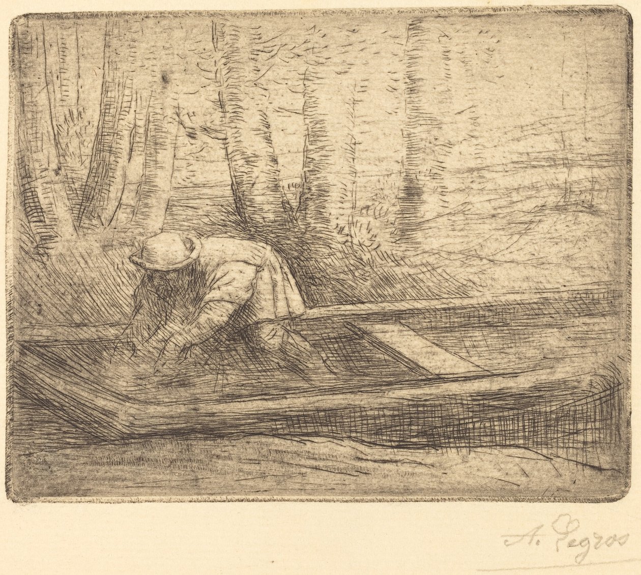Punt