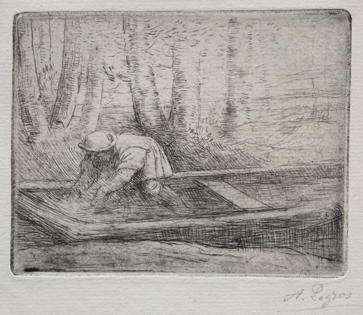 Punt