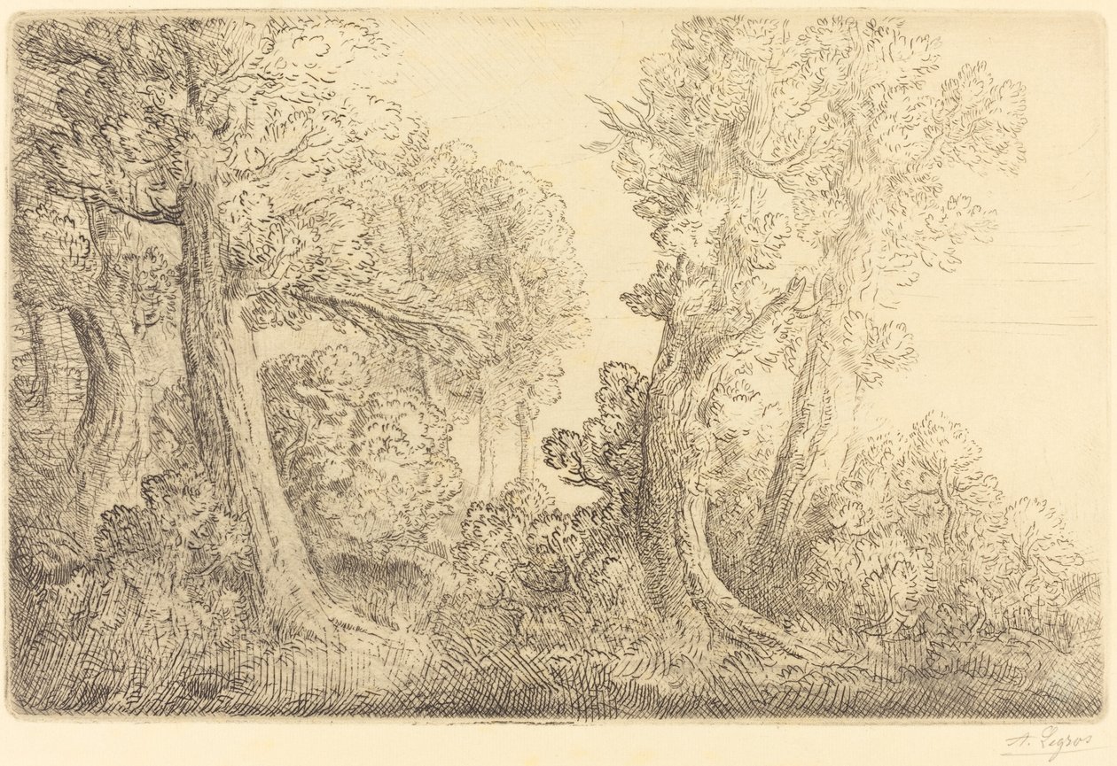Ormanın yakınında, Veronne by Alphonse Legros