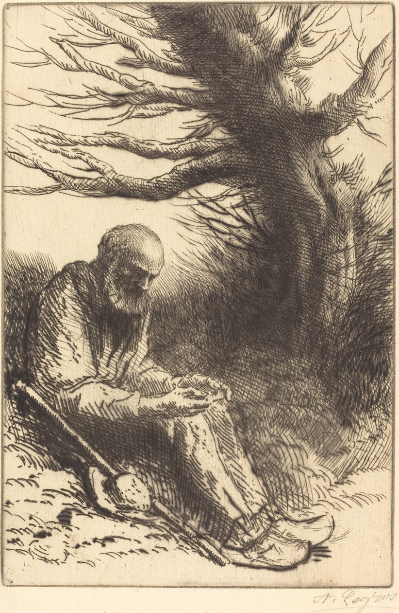 Yaşlı adam, Yaşlı Ağaç by Alphonse Legros