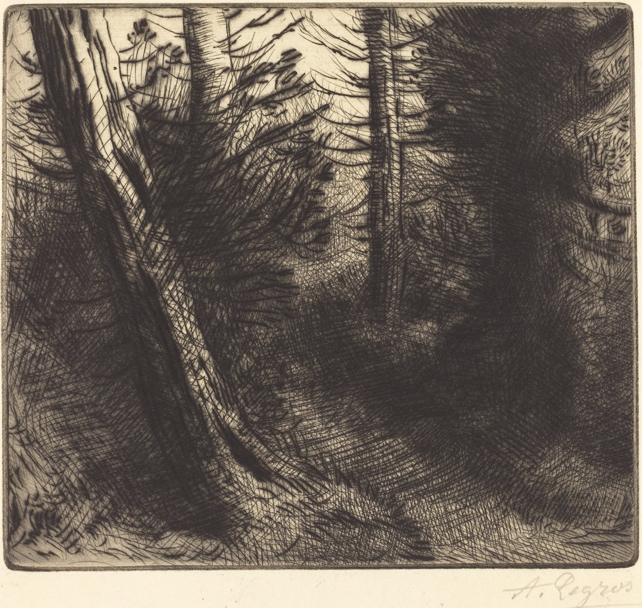 Ormanın içinden geçen yol (Sentier sous bois) by Alphonse Legros