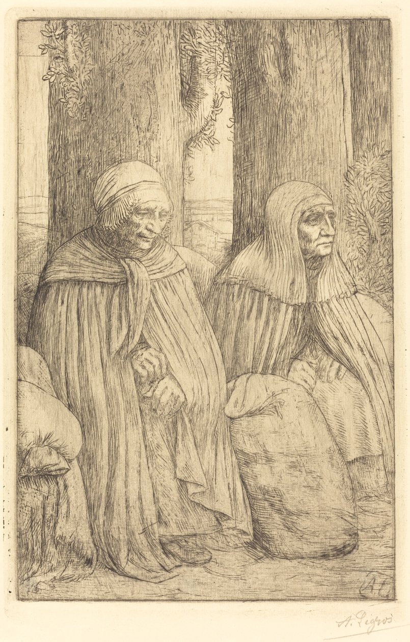 Köylü (köylü) by Alphonse Legros