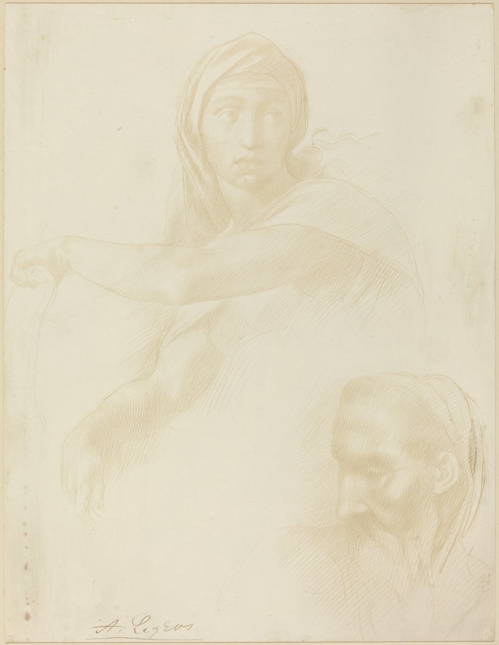 Bir Adamın Başı olan Delphic Sibyl