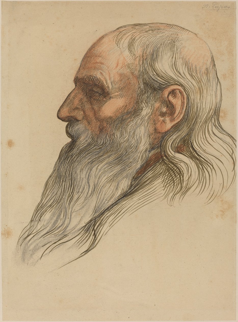 Tam Sakallı Bir Adamın Kafasının İncelenmesi. by Alphonse Legros