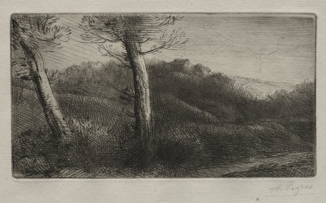 Çimlere Uzanmış Gezgin, c. 1888. by Alphonse Legros