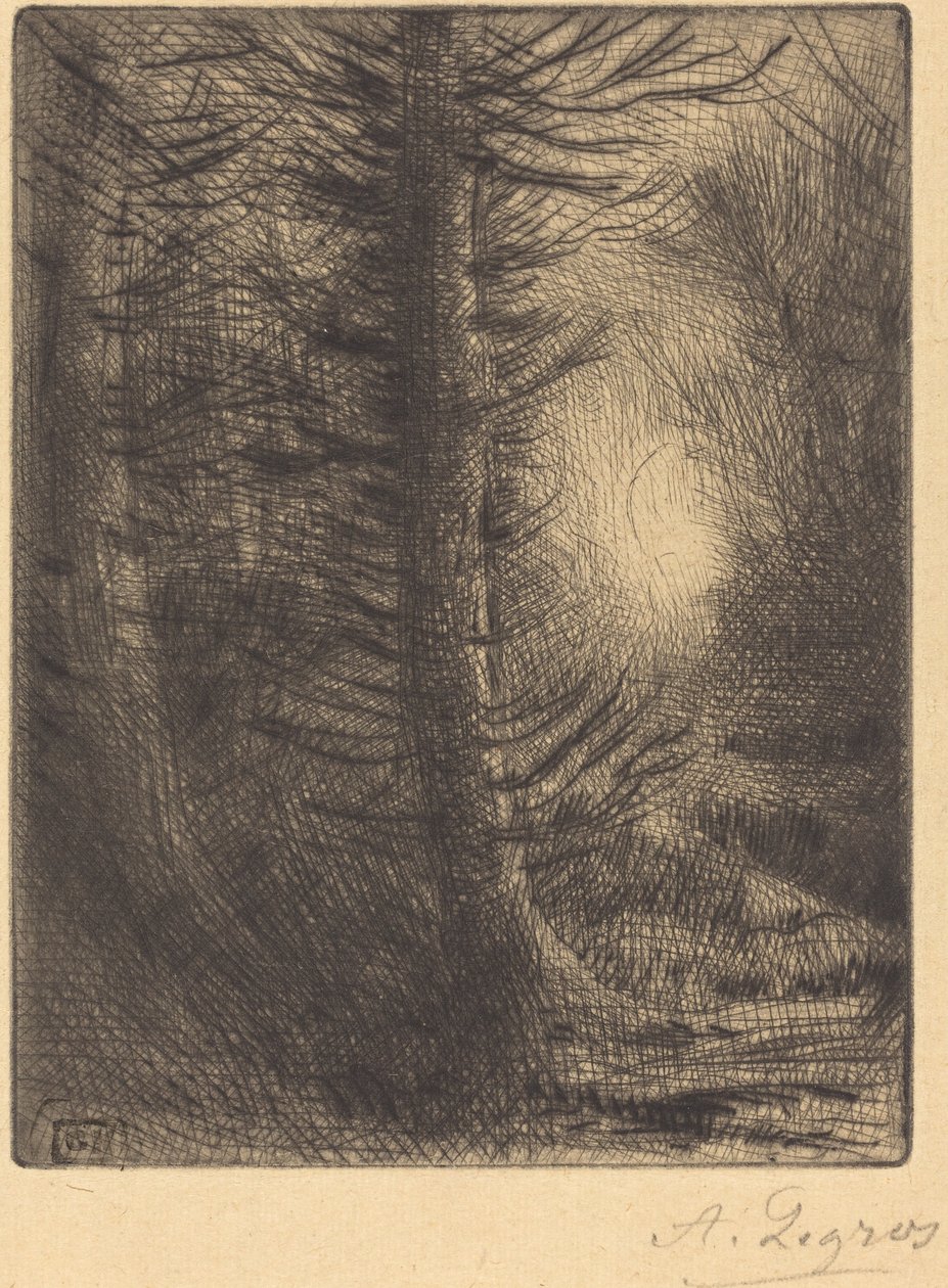 Kış Güneşinde Orman, 1. plaka by Alphonse Legros