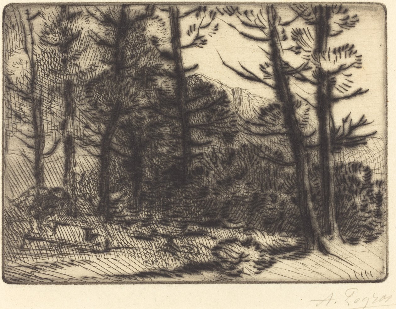 Kış Güneşinde Orman, 2. plaka by Alphonse Legros
