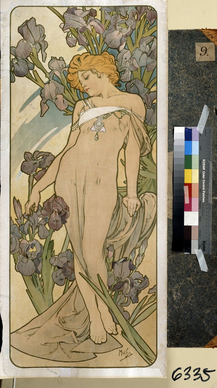 İris (çiçek serisinin bir parçası). Alfons Maria Mucha