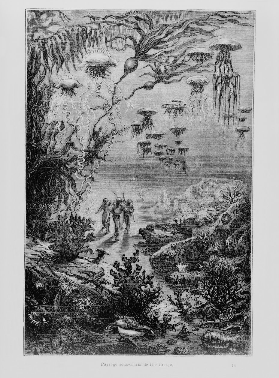 Henri Theophile Hildibrand (1824-97) tarafından oyulmuş Jules Verne (1828-1905) tarafından 