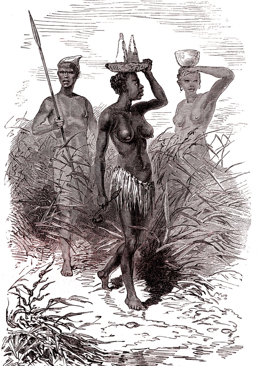 Nuer kabilesinin yerlileri, yukarı Nil vadisi by Alphonse Marie de Neuville