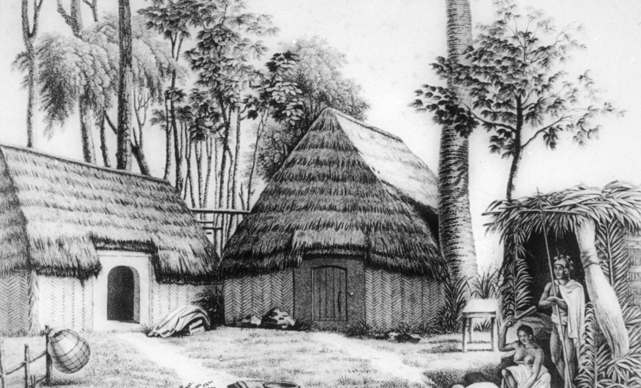 Şefin evi, Kalaimoku, 1819. by Alphonse Pellion